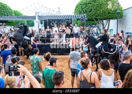 Jaleo, Danza tradicional con Caballos, originaria Del Siglo XIV, Fiestas de Sant Lluís Menorca, Balearen, Spanien. Stockfoto