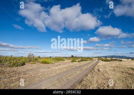 Jagdgebiet von Sonsaz, Cantalojas, Guadalajara, Spanien. Stockfoto