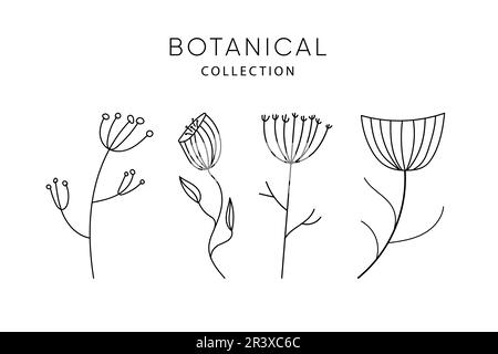 Gruppe von Leaves-Elementen. Getrocknete Blumen. Sammlung botanischer Vektor isoliert auf weißem Hintergrund geeignet für Hochzeitseinladungen, merken Sie sich das Datum, danke Stock Vektor