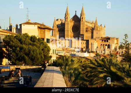 Catedral de Mallorca desde La Terraza d'Es Baluard (Museu d'Art Modern i Contemporani de Palma). Palma. Mallorca Islas Baleares. España. Stockfoto