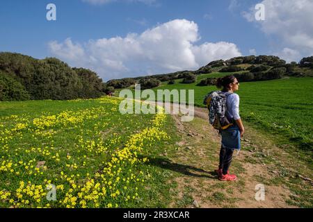 Wandern auf dem Pferderücken, - Cami de Cavalls-,s'Albufera des Grau Naturpark, Menorca, Balearen, Spanien. Stockfoto