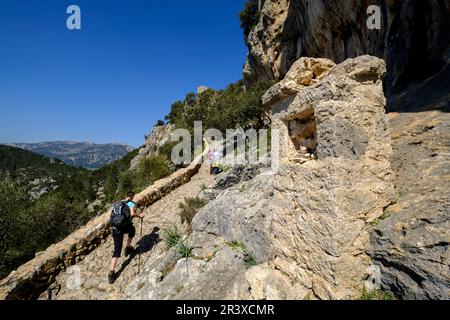 Senda del Castillo de Alaró, ubicado en El Puig d'Alaró, con una altitud de 822 m, Sierra de Tramuntana, Mallorca, Balearen, Spanien, Europa. Stockfoto