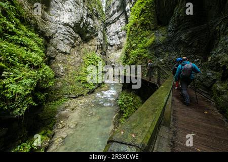 Garganta de Kakueta, Sainte-Enak<unk>, región de Aquitania, departamento de Pirineos Atlánticos, Francia. Stockfoto