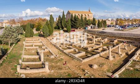 Römische Stadt Pollentia, Alcudia, Mallorca, Balearen, Spanien. Stockfoto