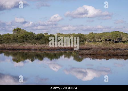 Salzsee SA Vall, Colònia de Sant Jordi, ses Salines, Mallorca, Balearen, Spanien. Stockfoto