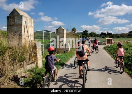 Marcha Ciclista a las Piquetes des. Pèlec, Llucmajor, Mallorca, Balearen, Spanien. Stockfoto