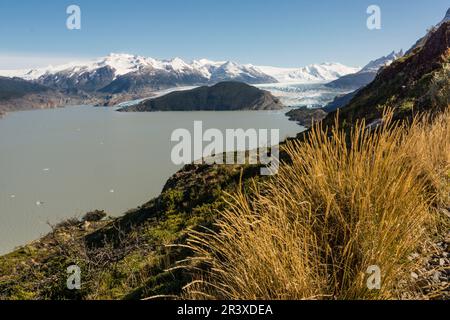 Valle del Lago Grey, trekking W, Parque Nacional Torres del Paine, Sistema Nacional de Áreas Protegidas Silvestres del Estado de Chile Patagonien, República de Chile, América del Sur. Stockfoto