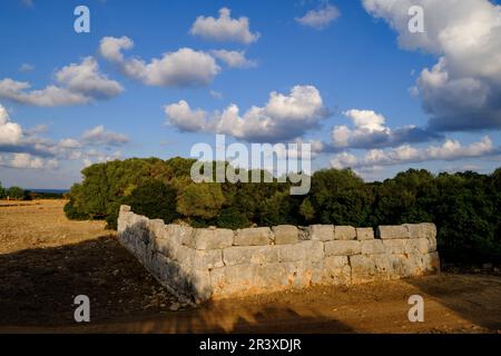 Hospitalet Vell, Edificio rechteckige de arquitectura ciclópea, núcleo de hábitat talayótico, término Municipal de Manacor, Mallorca, Balearen, Spanien, Europa. Stockfoto