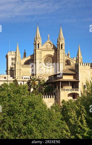 Catedral de Mallorca, Siglo. XIII ein Siglo XX. Palma. Mallorca Islas Baleares. Spanien. Stockfoto