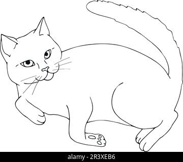 Handgezeichnete Katzenkontur isoliert auf weißem Hintergrund. Handgezogene Katze. Skizzieren. Vektorkunst Stock Vektor