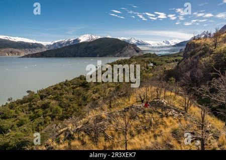 refugio y Glaciar Grey, valle del lago Grey, Trekking W, Parque nacional Torres del Paine,Sistema Nacional de Áreas Silvestres Protegidas del Estado de Chile.Patagonia, República de Chile,América del Sur. Stockfoto