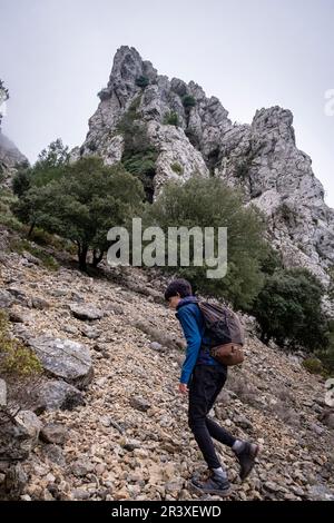 Aufstieg auf den Sporn von Xaragal De Sa Camamilla, Mallorca, Balearen, Spanien. Stockfoto