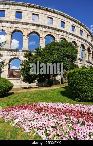 anfiteatro de Pula, Pula, Peninsula de Istria, Croacia, europa. Stockfoto