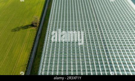 Vitre (Bretagne, Nordwestfrankreich): Gartenbaugewächshäuser aus der Vogelperspektive, Großproduktion. Das Gewächshaus wird von einer Straße getrennt Stockfoto