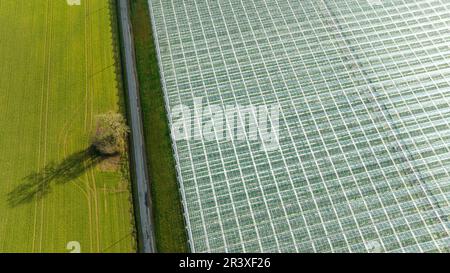 Vitre (Bretagne, Nordwestfrankreich): Gartenbaugewächshäuser aus der Vogelperspektive, Großproduktion. Das Gewächshaus wird von einer Straße getrennt Stockfoto