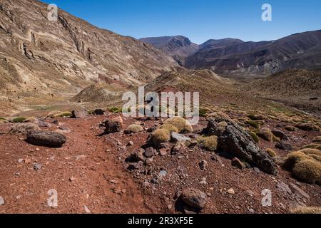 Plateaus de Tarkeddit Abstieg in Richtung der Arous-Schlucht, MMoun Trek, Atlas-Gebirge, marokko, afrika. Stockfoto