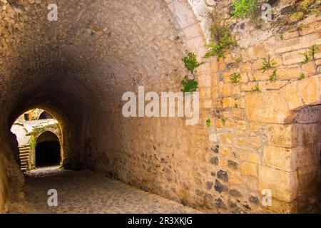 Krak (CRAC) des Chevaliers, auch bekannt als (Schloss der Kurden) und früher CRAC de l'Ospital, ist eine Kreuzritter-Burg in Syrien und eine der imponiertesten Stockfoto