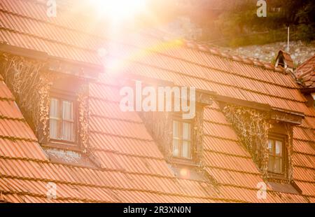 Seitenansicht des alten Daches mit braunen Fliesen und Fenstern mit Ästen von Blättern überwuchert Stockfoto