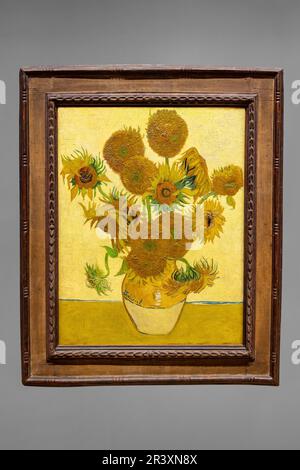 Der berühmte Strauß von Sonnenblumen in einer Vase, Stillebensgemälde des Malers Vincent van Gogh, furth-Version, gelber Hintergrund, Öl auf Dose Stockfoto