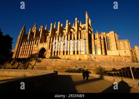 Catedral de Palma. D'alt Murada. Ciudad de Palma. Mallorca. Balearen. España. Stockfoto