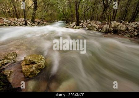 Fonts Ufanes, Gabellí Petit, Campanet, Region der Sierra de Tramuntana, Mallorca, Balearen, Spanien, Mallorca, Balearen, Spanien. Stockfoto