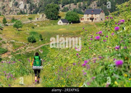 Granjas de Añes biadós, Valle de Cruces, Parque Natural Posets-Maladeta, Huesca, Cordillera de Los Pirineos, Spanien. Stockfoto