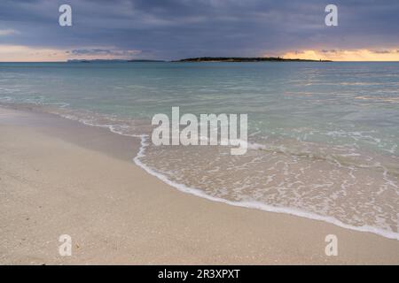 Es Carbó Beach, Beach Crushed Mollusk Shells, Ses Salines, Mallorca, islas baleares, Spanien. Stockfoto