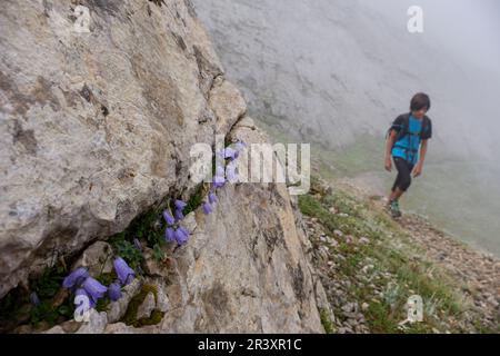 Ruta de Las Golondrinas, Collado de Petrechema, pirineos, occidentales, Huesca, Aragón, Spanien, Europa. Stockfoto