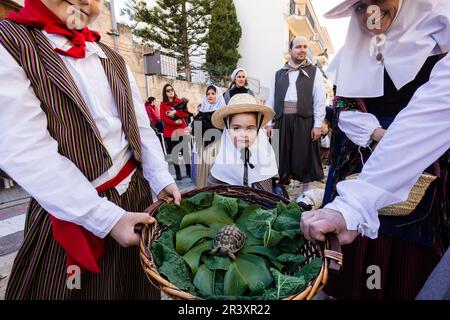 Beneïdes de Sant Antoni, Muro, Mallorca, Balearen, Spanien. Stockfoto