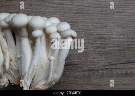 Weiße Buchenpilze, Shimeji-Pilze, essbare Pilze auf dem Holztisch Stockfoto