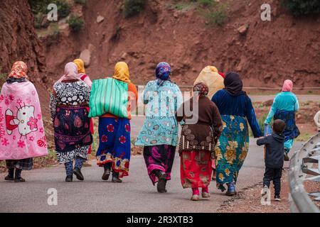 Gruppe von Berberfrauen, die auf einer asphaltierten Straße arbeiten, Ait Blal, Provinz azilal, Atlasgebirge, marokko, afrika. Stockfoto