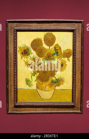 Der berühmte Strauß von Sonnenblumen in einer Vase, Stillebensgemälde des Malers Vincent van Gogh, furth-Version, gelber Hintergrund, Öl auf Dose Stockfoto