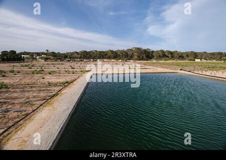 Safereig, Formentera, Pitiusas-Inseln, Balearische Gemeinschaft, Spanien. Stockfoto