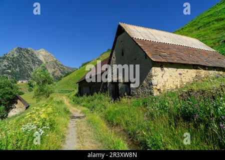 Granjas de Añes biadós, Valle de Cruces, Parque Natural Posets-Maladeta, Huesca, Cordillera de Los Pirineos, Spanien. Stockfoto