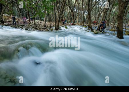 Fonts Ufanes, Gabellí Petit, Campanet, Region der Sierra de Tramuntana, Mallorca, Balearen, Spanien, Mallorca, Balearen, Spanien. Stockfoto