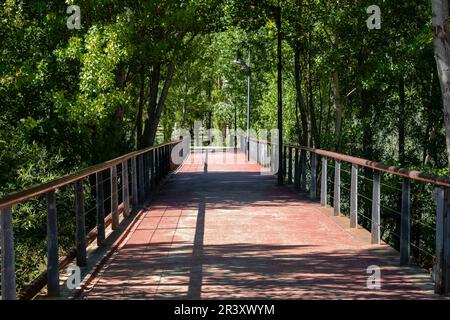 Senda del Duero, GR14, parque de la Arboleda, Almazán, Soria, comunidad autónoma de Castilla y León, Spanien, Europa. Stockfoto