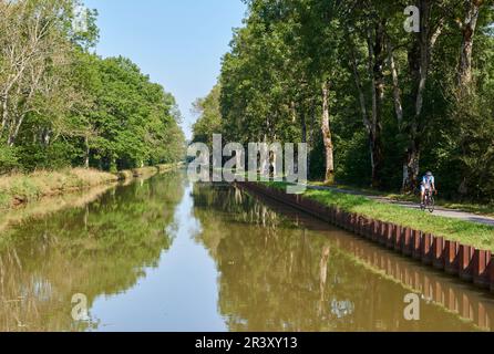 Girancourt (Nordostfrankreich): Canal des Vosges (ehemals Canal de l'Est, südlicher Teil). Radfahrer auf einem Schleppweg Stockfoto
