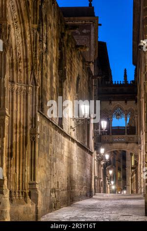 Das Barrio Gotico in der Altstadt von Barcelona in der Abenddämmerung mit der Pont del Bispe Stockfoto