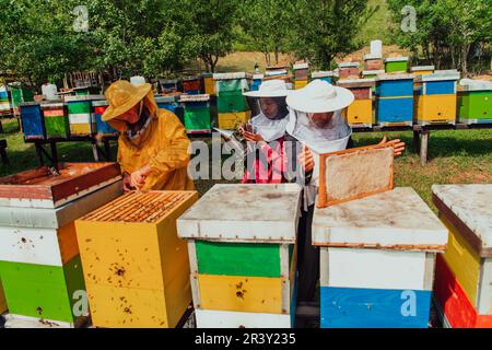 Arabische Investoren prüfen die Qualität von Honig auf einem großen Bienenzuchtbetrieb, in den sie ihr Geld investiert haben. Das Konzept des Programms Stockfoto