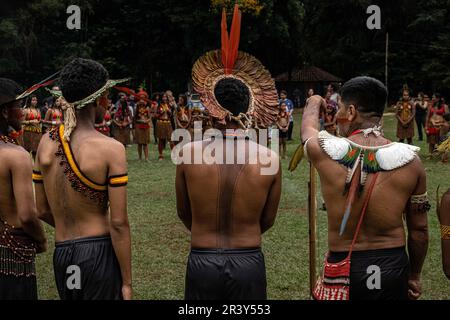 19. April 2023, SÃ José de Bicas, Minas Gerais, Brasilien: Die Ureinwohner sehen eine Zeremonie während der Feierlichkeiten zum Tag der Ureinwohner im Aldeia KaturÃ mA. (Credit Image: © Ivan Abreu/SOPA Images via ZUMA Press Wire) NUR REDAKTIONELLE VERWENDUNG! Nicht für den kommerziellen GEBRAUCH! Stockfoto