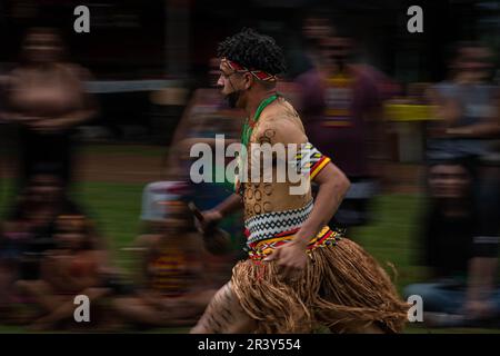 19. April 2023, SÃ José de Bicas, Minas Gerais, Brasilien: Ein indigener Mann, der traditionelle Kleidung und Ornamente während eines Wettbewerbs anlässlich der Feierlichkeiten zum Tag der Ureinwohner im Aldeia KaturÃ trägt. (Credit Image: © Ivan Abreu/SOPA Images via ZUMA Press Wire) NUR REDAKTIONELLE VERWENDUNG! Nicht für den kommerziellen GEBRAUCH! Stockfoto