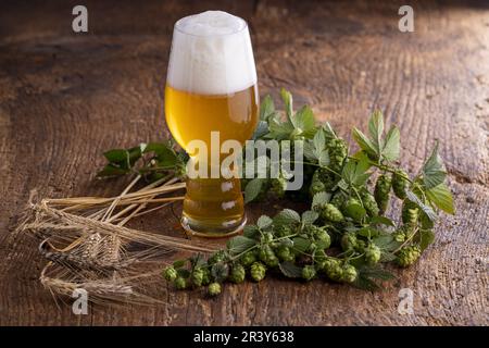 Indianerblass-Ale auf Holz Stockfoto