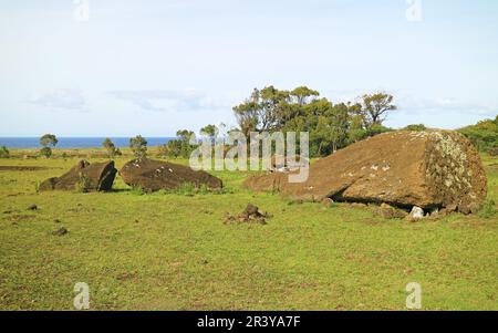 Ruinen der unvollendeten Moai-Statue auf dem Boden des Vulkans Rano Raraku Foothill, Osterinsel, Chile, Südamerika Stockfoto