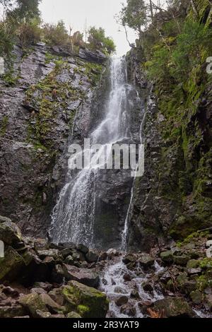 Wasserfall im Wald, Burgbach Wasserfall bei Schapbach, Schwarzwald, Baden-Württemberg, Deutschland Stockfoto