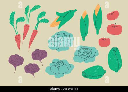 Verschiedene Gemüsesorten - Kohl, Karotten, Rüben, Mais, Tomaten, Eisbergsalat. Vektorgrafik mit Texturen. Stock Vektor