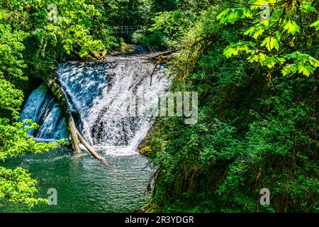 Ein Landschaftsbild der Drake Falls im Silver Falls State Park im Bundesstaat Oregon Stockfoto