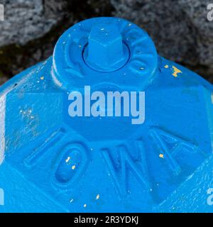 Oben auf einem Hydranten in Bremerton, WA. Stockfoto