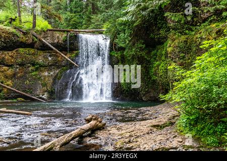 Blick auf die Upper Notth Falls im Silver Falls State Park im Bundesstaat Oregon. Stockfoto