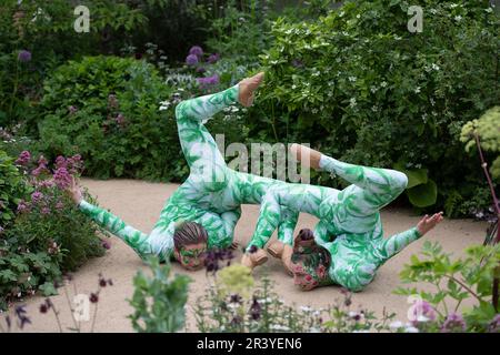 BILDER ABLEGEN. 25. Mai 2023. Die Gruppe der Öko-Aktivisten Just Stop Oil hat heute auf der Chelsea Flower Show, entworfen von Paul Hervey-Brookes, orangefarbene Farbe auf den RBC Brewin Dolphin Garden gesprüht (Bilder zeigen Künstler im Garten am Press Day am Montag Anfang dieser Woche). Pimlico, London, Großbritannien. 22. Mai 2023. Ein Paar darstellender Schlangenmenschen führt eine Interpretation durch, die den Wissenstransfer durch eine stufenweise Bewegung darstellt, wobei das Thema des Gartens aufgegriffen wird. Kredit: Maureen McLean/Alamy Live News Stockfoto