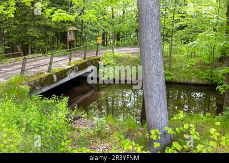 Zlatá stoka, Trebon, Jizni Cechy, Ceska Republika/Golden Canal, Trebon, Southa Böhmen, Tschechische Republik Stockfoto